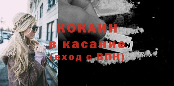стаф Козловка