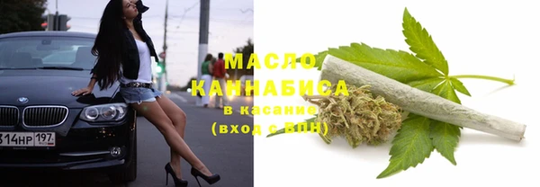 стаф Козловка