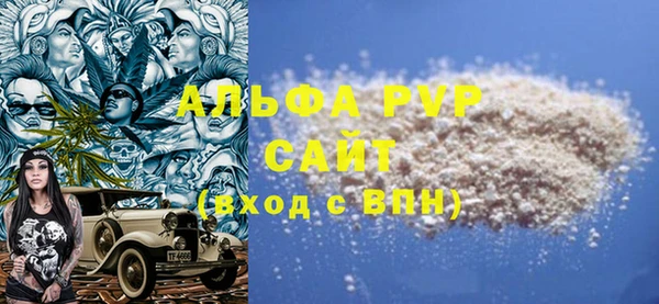 стаф Козловка