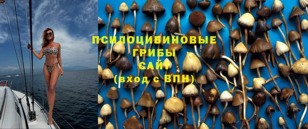стаф Козловка
