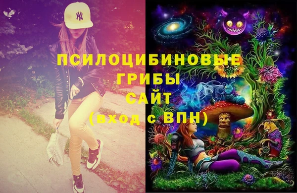 дживик Кострома