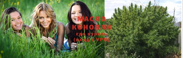 стаф Козловка