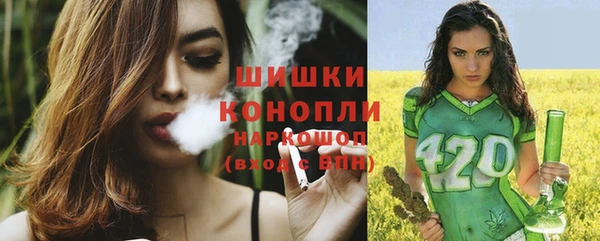 стаф Козловка