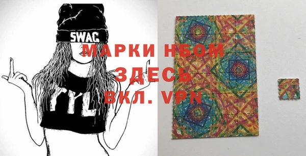 стаф Козловка