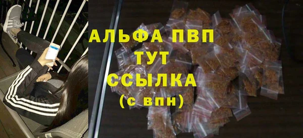 стаф Козловка