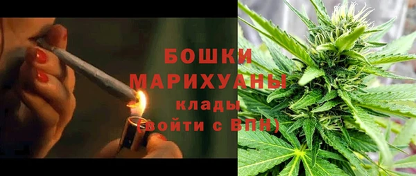 прущий лед Кодинск
